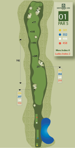 Hole1ZoomOutImage